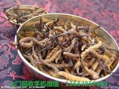 禪城回收冬蟲夏草價格差別