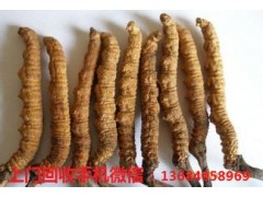 南?；厥障x草規格介紹