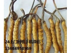 三水回收蟲草價格為什么都不相同